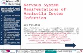 Neurological manifestations of VSV Infections  Learning Objectives Introduction