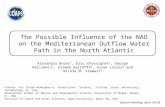 The Possible Influence of the NAO on the Mediterranean Outflow Water Path in the North Atlantic
