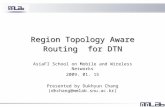 Region Topology Aware Routing  for DTN