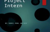 Project Intern