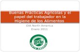 Buenas Prácticas Agrícolas y el papel del trabajador en la Higiene de los Alimentos