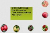 CRJ Fruit Trees Nursery