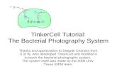 TinkerCell Tutorial: The Bacterial Photography System