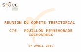 REUNION DU COMITE TERRITORIAL  CT6 – POUILLON PEYREHORADE ESCHOURDES 27 AVRIL 2012