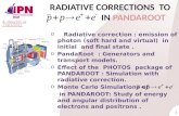 RADIATIVE CORRECTIONS  TO                        IN  PANDAROOT