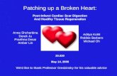 Patching up a Broken Heart: Post-Infarct Cardiac Scar Digestion And Healthy Tissue Regeneration