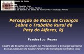 Percepção de Risco de Crianças Sobre o Trabalho Rural de Paty do Alferes, RJ