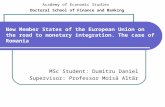 New Member States of the European Union on the road to monetary integration. The case of Romania
