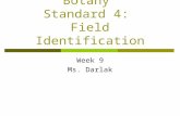 Botany  Standard 4:  Field Identification