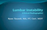 Lumbar Instability (Clinical/Radiographic)