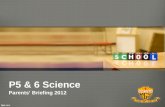 P5 & 6 Science