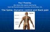 Paul Thawley BSc (Hons) MSc (sports med) Pg Dip