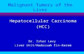 Malignant Tumors of the Liver