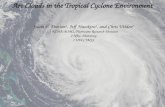 Arc Clouds in the Tropical Cyclone Environment