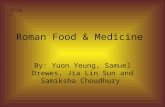 Roman Food & Medicine