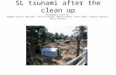 SL tsunami damaged homes and lives
