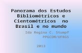 Panorama dos Estudos Bibliométricos e Cientométricos  no Brasil e no mundo
