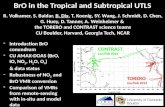 BrO in the Tropical and Subtropical  UTLS