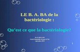 LE B. A. BA de la bactériologie : Qu’est ce que la bactériologie?