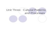 Unit Three:  Cultural Patterns and Processes
