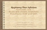 Respiratory Tract Infections Common cold Acute and chronic bronchitis Pneumonia (CAP and VAP)