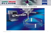 Calypso Curve Overview