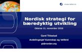 Nordisk strategi for bæredyktig utvikling