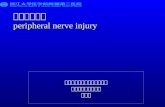 周围神经损伤 peripheral nerve injury
