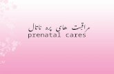 مراقبت های پره ناتال  prenatal cares