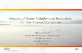 Impacts  of  Ozone Pollution and Reductions  for  Low-Income  Households