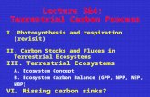 Lecture 3&4:  Terrestrial Carbon Process I. Photosynthesis and respiration (revisit)
