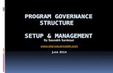 Program governance structure  setup & Management