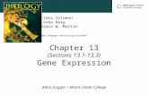 Chapter 13 (Sections 13.1-13.3) Gene Expression