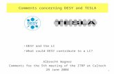 Comments concerning DESY and TESLA