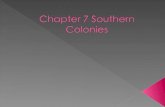 Chapter 7 Southern Colonies