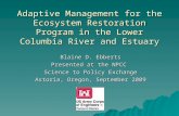 Adaptive Management for the Ecosystem Restoration Program in the Lower Columbia River and Estuary