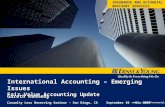 International Accounting – Emerging Issues  Fair Value Accounting Update