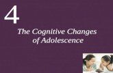 The Cognitive Changes  of Adolescence