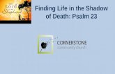 Finding Life in the Shadow of Death: Psalm 23