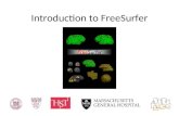 Introduction to FreeSurfer