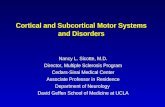 Cortical and Subcortical Motor Systems and Disorders