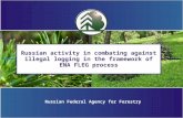 Russian activity in combating against illegal logging in the framework of ENA FLEG process