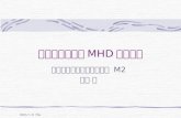 輻射優勢円盤の MHD 数値実験