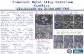 Transient Metal Alloy Oxidation Kinetics  Visualized by  In situ  UHV-TEM