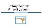 Chapter  10   File-System