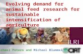 Evolving demand for animal feed research for sustainable intensification of agriculture