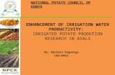 ENHANCEMENT OF IRRIGATION WATER PRODUCTIVITY:  IRRIGATED POTATO PRODUTION RESEARCH IN ASALS