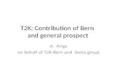 T2K: Contribution of Bern  and general prospect