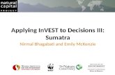 Applying InVEST to Decisions III: Sumatra