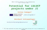 Potential for LULUCF projects under JI